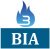Liberty Dumpster Detroit BIA badge
