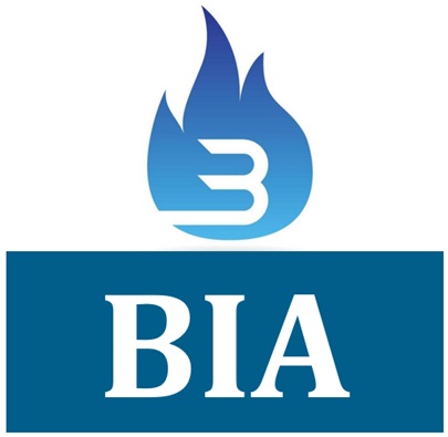 Liberty Dumpster Detroit BIA badge